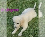Small #11 Breeder Profile image