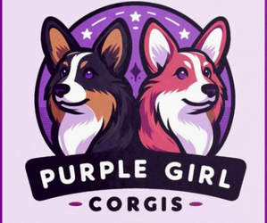 Pembroke Welsh Corgi Dog Breeder near LEXINGTON, OK, USA