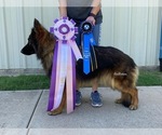Small #5 Breeder Profile image