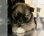 Small #21 Breeder Profile image