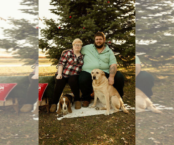 Medium Photo #1  Breeder Profile in ROLFE, IA, USA