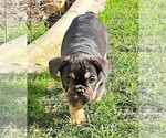 Small #71 Breeder Profile image
