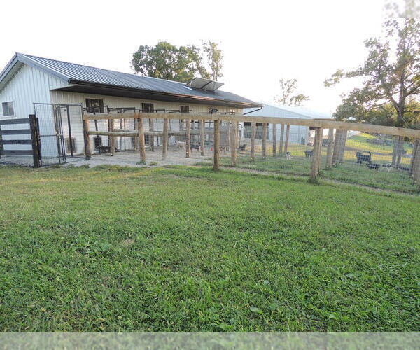 Medium Photo #7  Breeder Profile in CARLISLE, KY, USA