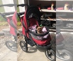 Small #16 Breeder Profile image