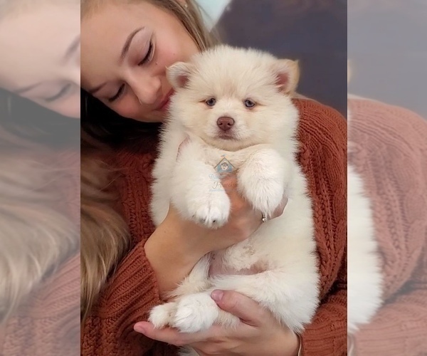 Medium Photo #10  Breeder Profile in BURNS TOWNSHIP, MN, USA