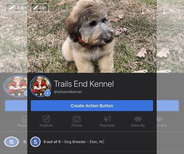 Medium Photo #1  Breeder Profile in ELON, NC, USA