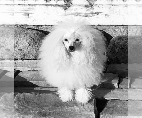 Medium Photo #1  Breeder Profile in BURLINGTON, WI, USA