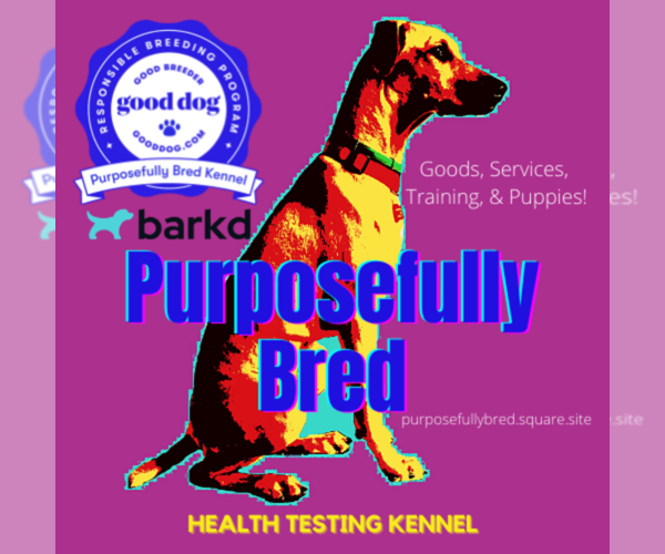 Medium Photo #1  Breeder Profile in HOUSTON, TX, USA