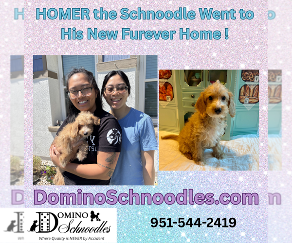 Medium Photo #12  Breeder Profile in MORENO VALLEY, CA, USA