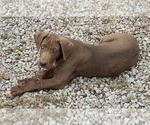 Small #1 Breeder Profile image