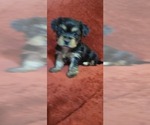 Small #307 Breeder Profile image
