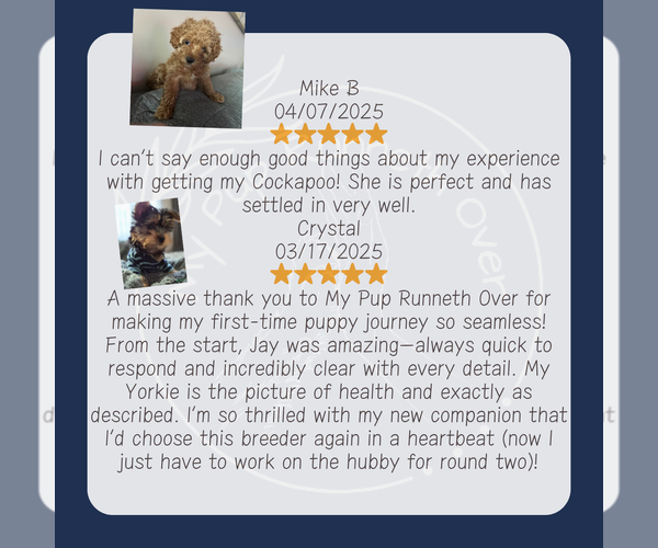 Medium Photo #5  Breeder Profile in GOSHEN, IN, USA