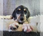 Small #17 Breeder Profile image
