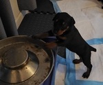 Small #7 Breeder Profile image