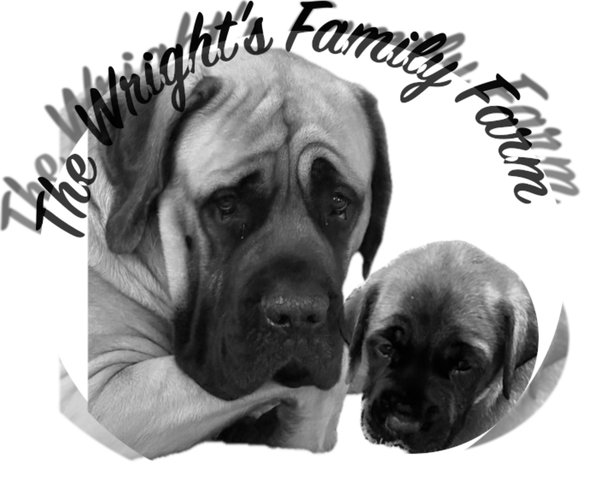 Medium Photo #1  Breeder Profile in OLATHE, KS, USA