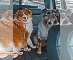 Small #3 Breeder Profile image