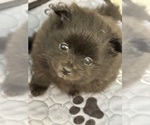 Small #13 Breeder Profile image