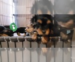 Small #324 Breeder Profile image