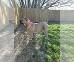 Small #22 Breeder Profile image