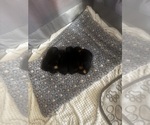 Small #5 Breeder Profile image