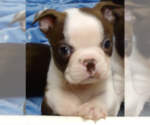 Small #5 Breeder Profile image