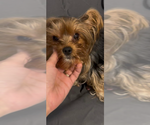 Small #5 Breeder Profile image