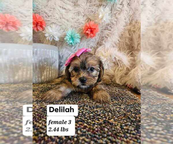 Medium Photo #4  Breeder Profile in SIOUX CENTER, IA, USA