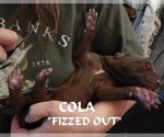 Small #1 Breeder Profile image