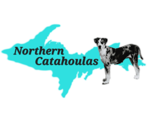 Catahoula Leopard Dog Dog Breeder near MORAN, MI, USA