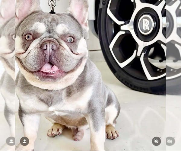 Medium Photo #3  Breeder Profile in MURRIETA, CA, USA