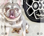 Small #2 Breeder Profile image