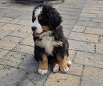 Small #8 Breeder Profile image