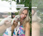 Small #8 Breeder Profile image