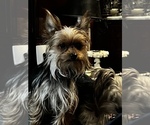 Small #13 Breeder Profile image