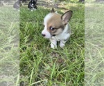 Small #3 Breeder Profile image