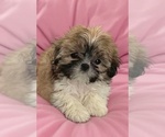 Small #4 Breeder Profile image