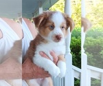 Small #30 Breeder Profile image
