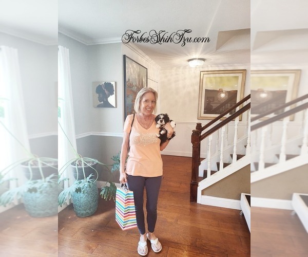 Medium Photo #3  Breeder Profile in OCALA, FL, USA