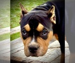 Small #2 Breeder Profile image