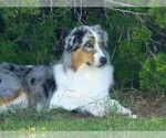 Small Photo #1  Breeder Profile in AUSTIN, TX, USA