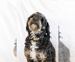 Small #6 Breeder Profile image