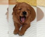 Small #5 Breeder Profile image