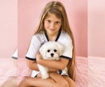 Small #9 Breeder Profile image