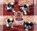 Small #16 Breeder Profile image
