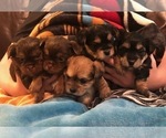 Small #5 Breeder Profile image
