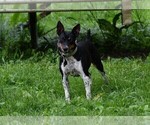 Small #1 Breeder Profile image
