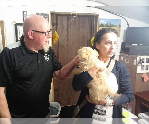 Medium Photo #3  Breeder Profile in MEAD, WA, USA