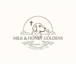 Golden Retriever Dog Breeder near THOMASTON, ME, USA