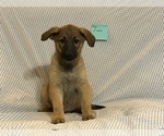 Small #6 Breeder Profile image