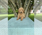 Small #3 Breeder Profile image